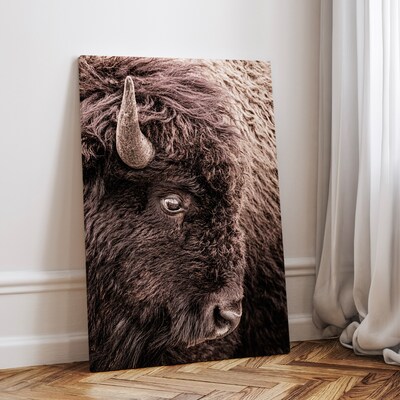 Bison photo wall art, buffalo canvas print, western decor, large photo wall art, rustic cabin decor, old west print - image2